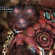 Illustration for article titled Alien Crush Returns – Space Venereal Disease Strikes WiiWare
